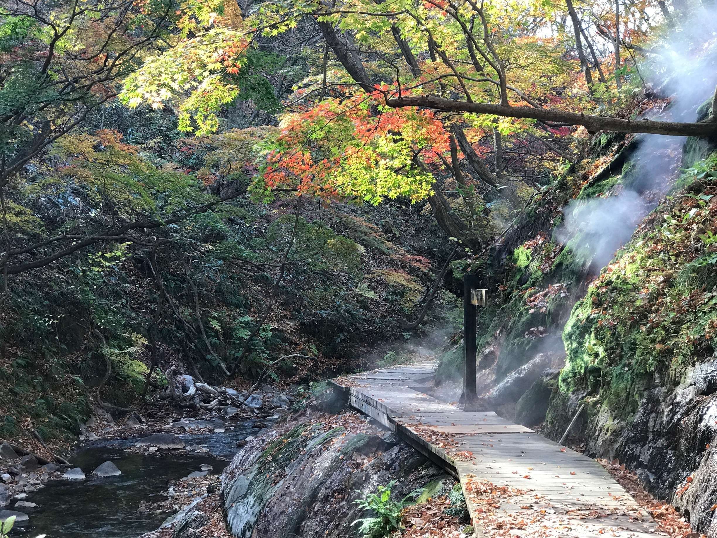 🏞️ 오사키 공원 (오사키 코엔) 이미지 1
